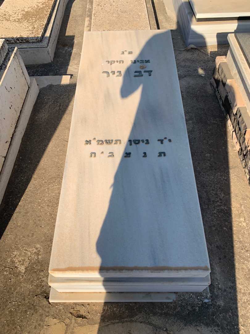 קברו של דב ניר