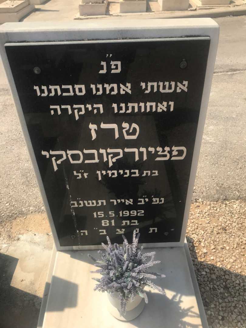 קברו של ז'ק פז. תמונה 2