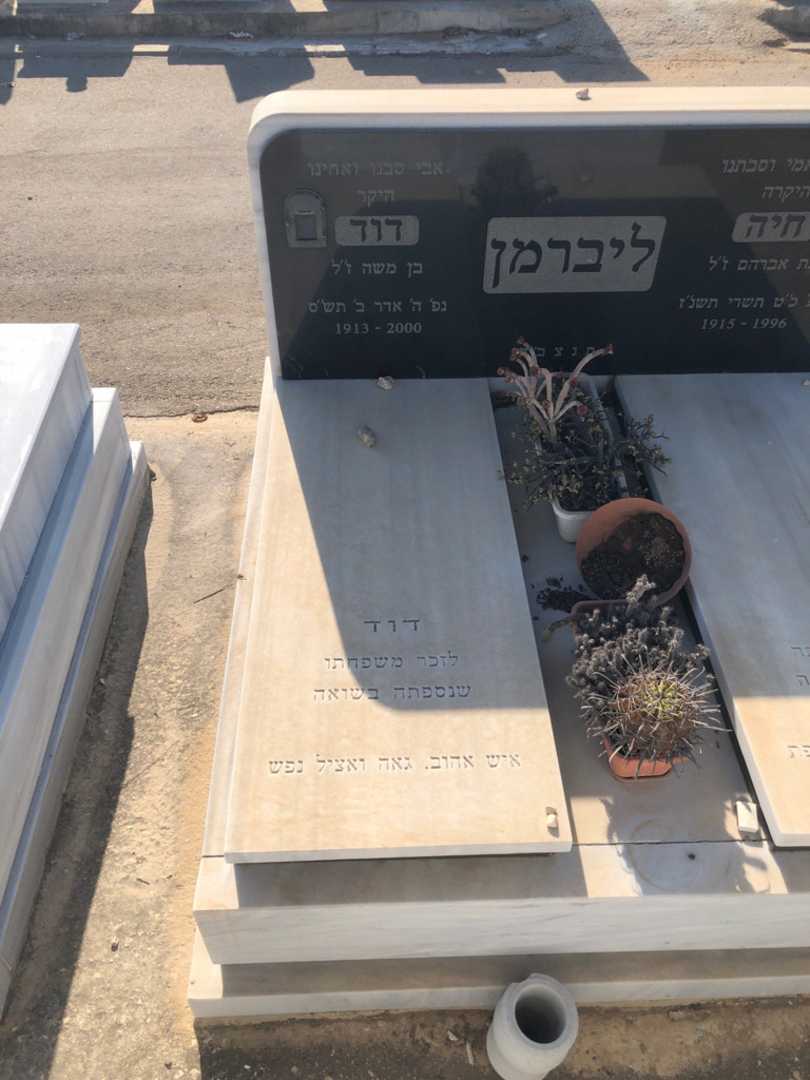 קברו של דוד ליברמן. תמונה 1