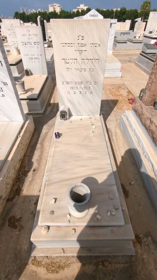 קברו של רוזיקה הקטר