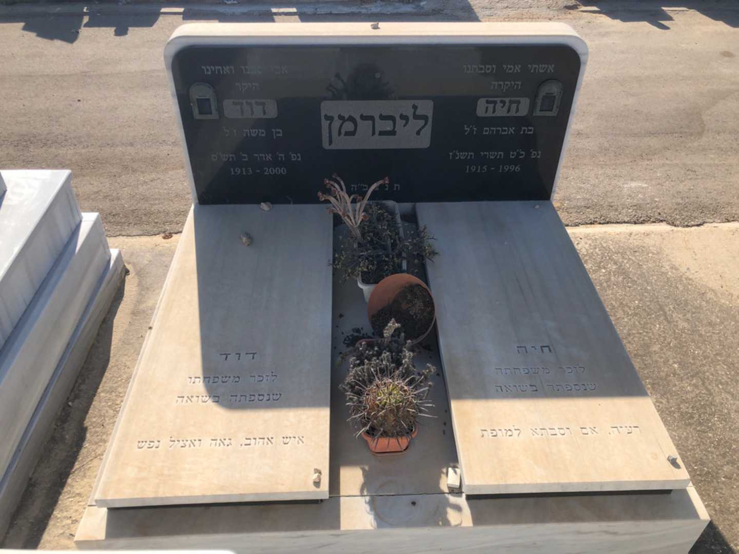 קברו של דוד ליברמן. תמונה 2