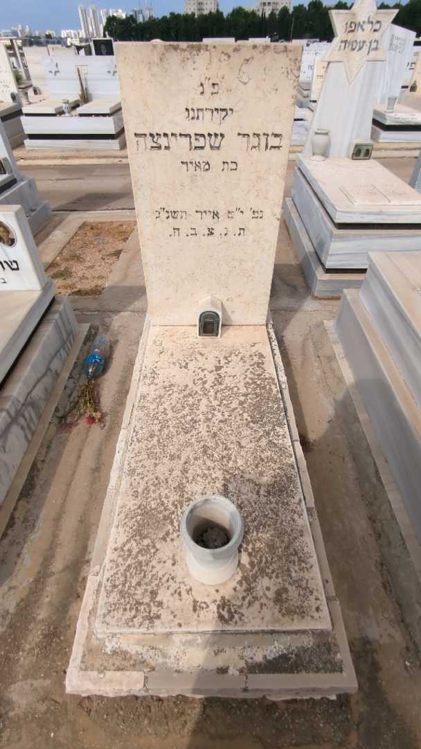 קברו של שפרינצה בוגר