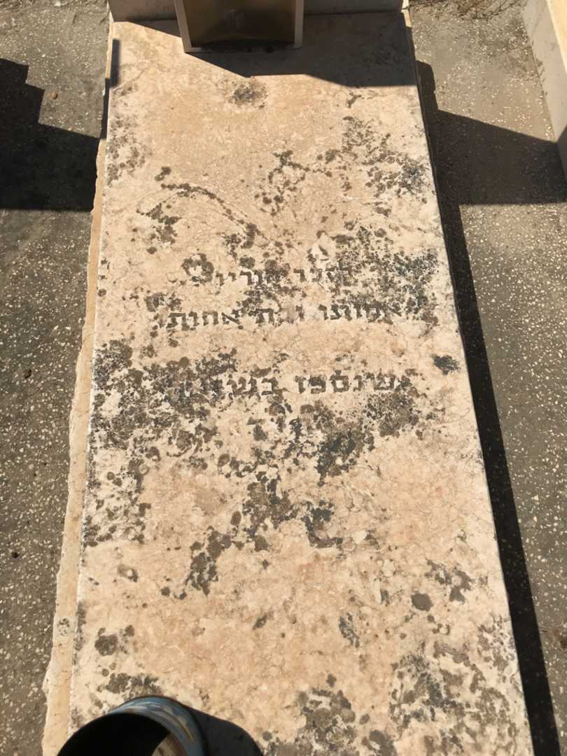 קברו של יצחק רייך. תמונה 2