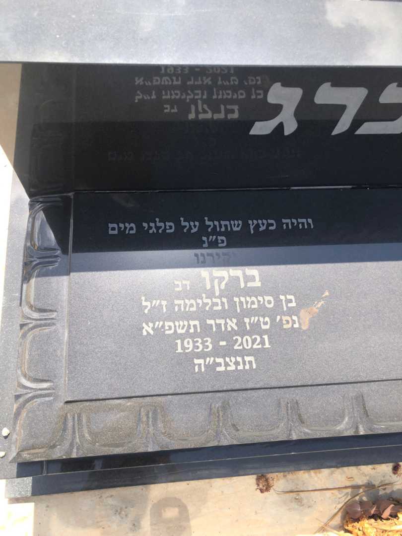 קברו של ברקו "דב" גרינברג. תמונה 1