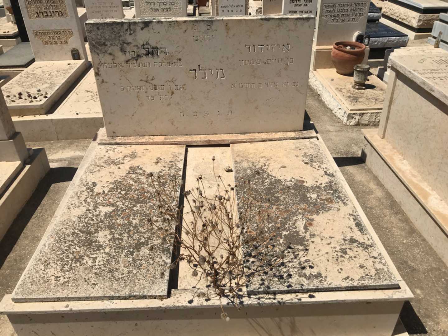 קברו של איזידור מילר. תמונה 1