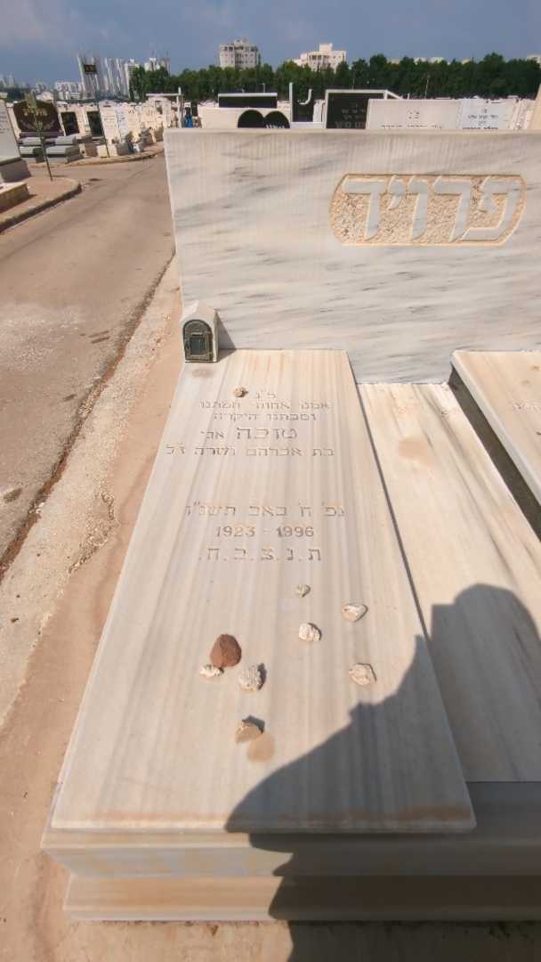 קברו של טובה "אגי" פרויד. תמונה 1
