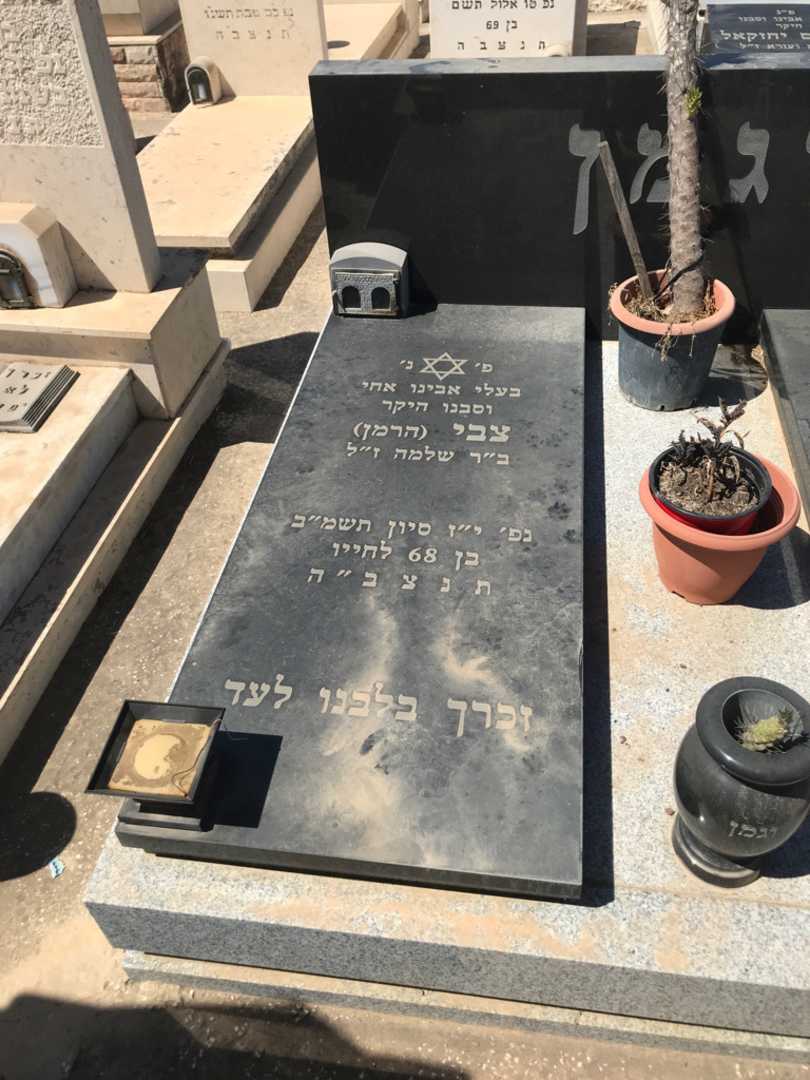 קברו של צבי "הרמן" וגמן. תמונה 2