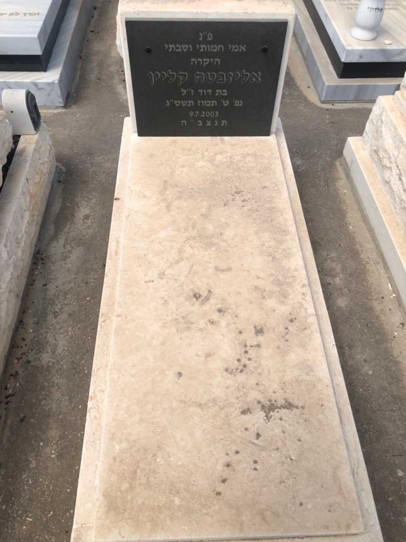 קברו של אליזבטה קליין. תמונה 1