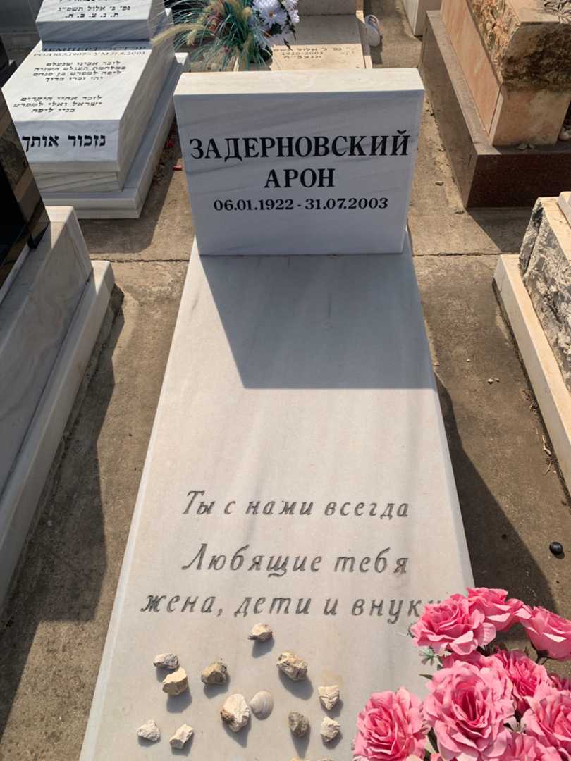 קברו של ארון זדרנובסקי