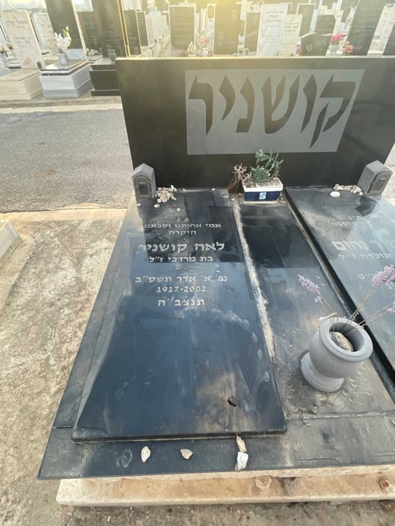 קברו של לאה קושניר. תמונה 2