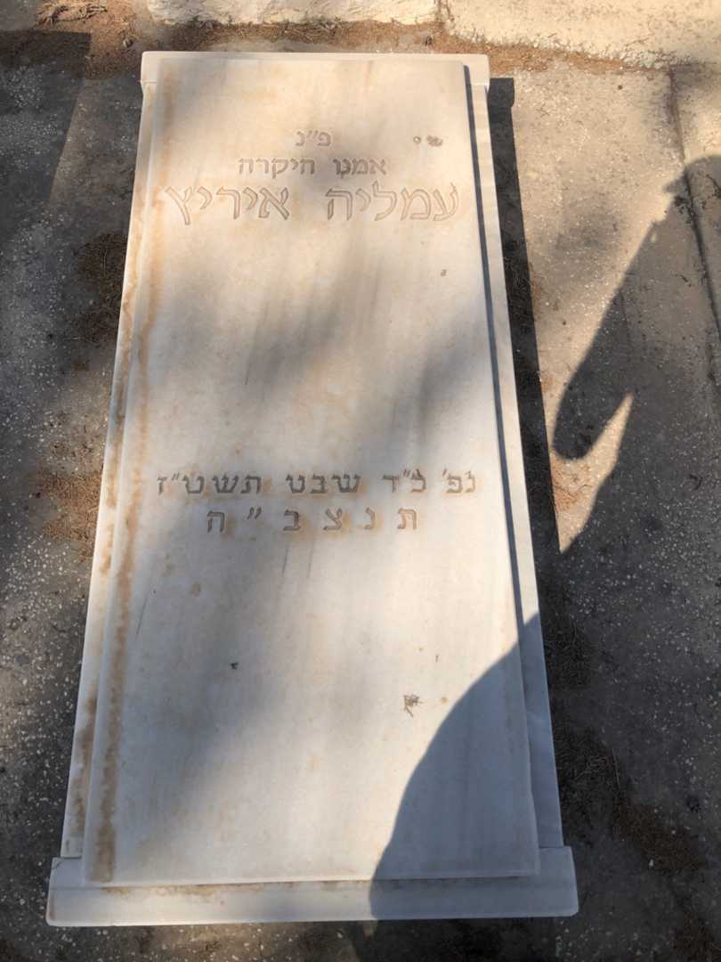 קברו של עמליה איריץ