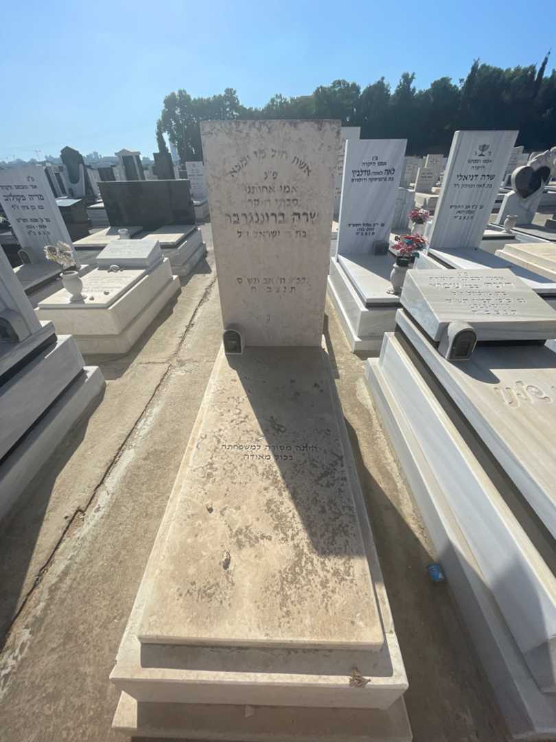 קברו של שרה ברוננגרבר