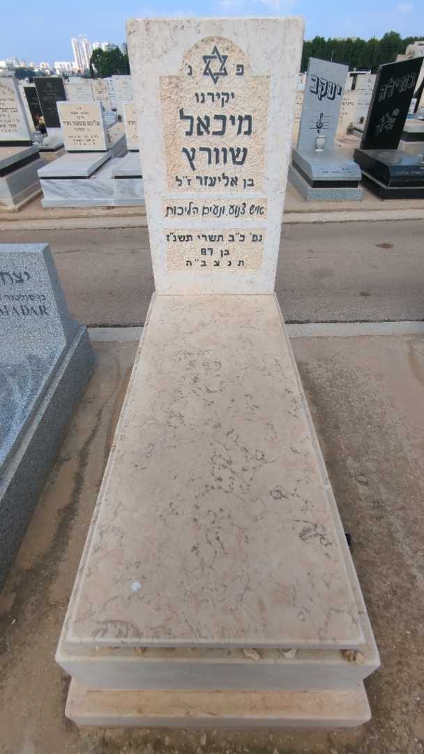 קברו של מיכאל שוורץ