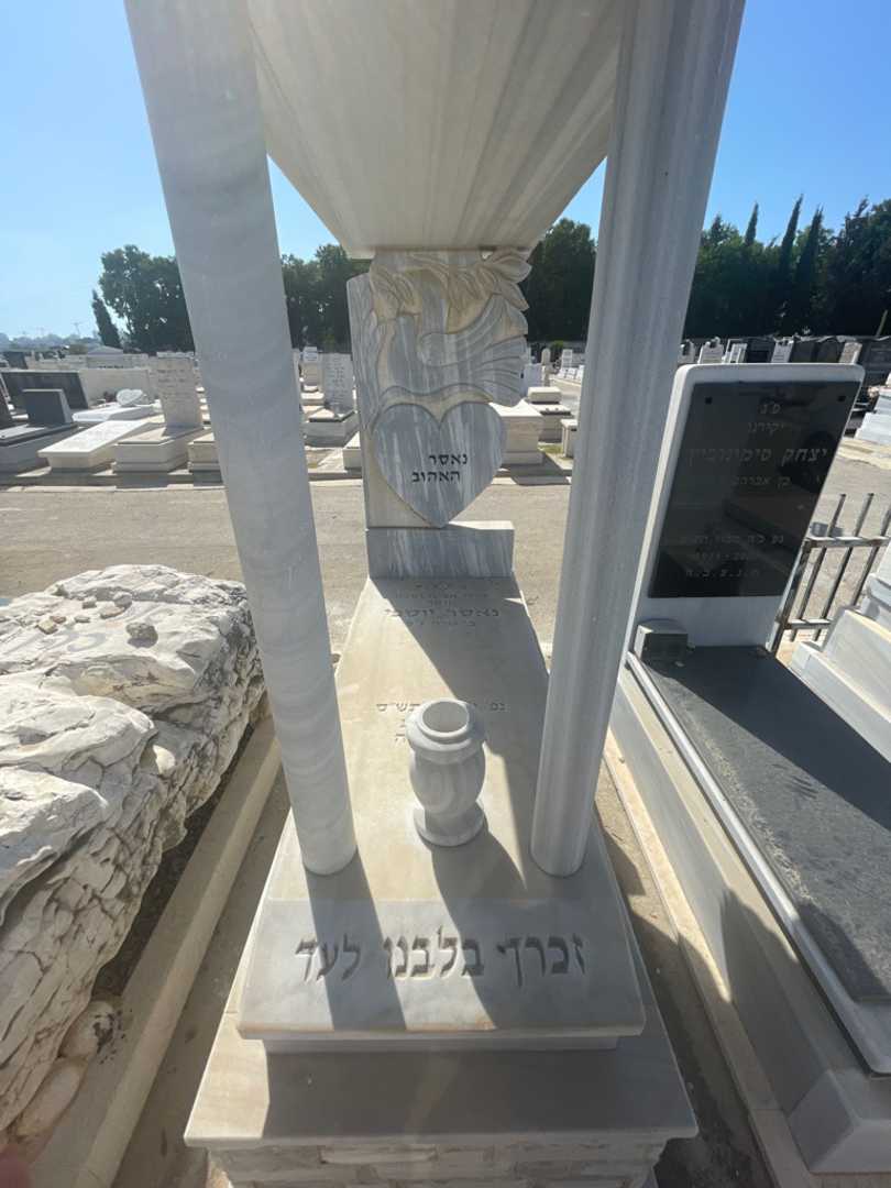 קברו של נאסר יוספי. תמונה 1