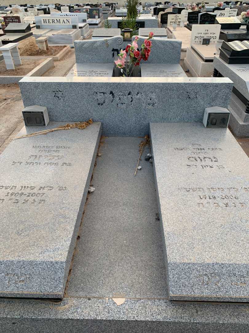 קברו של עליזה פרופיס. תמונה 1
