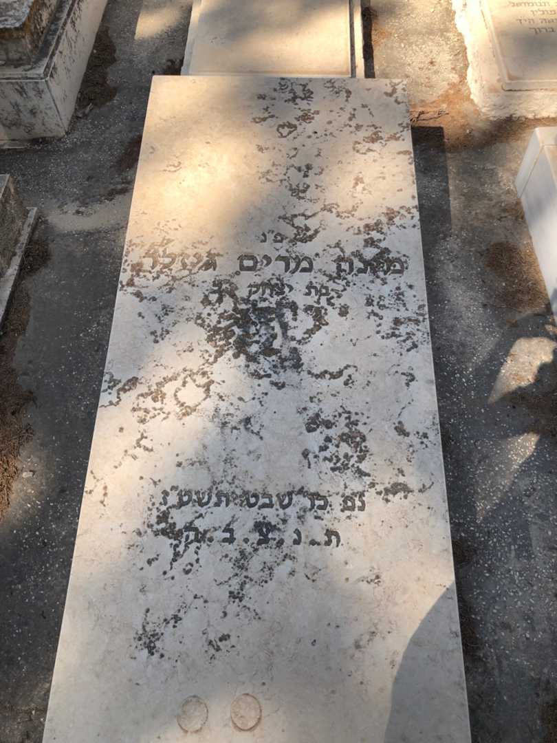 קברו של מינה מרים גיזלר. תמונה 1