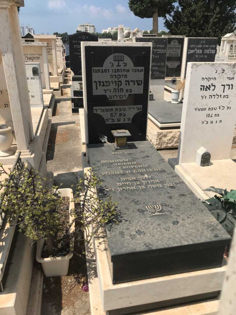 קברו של שרה קויפמן