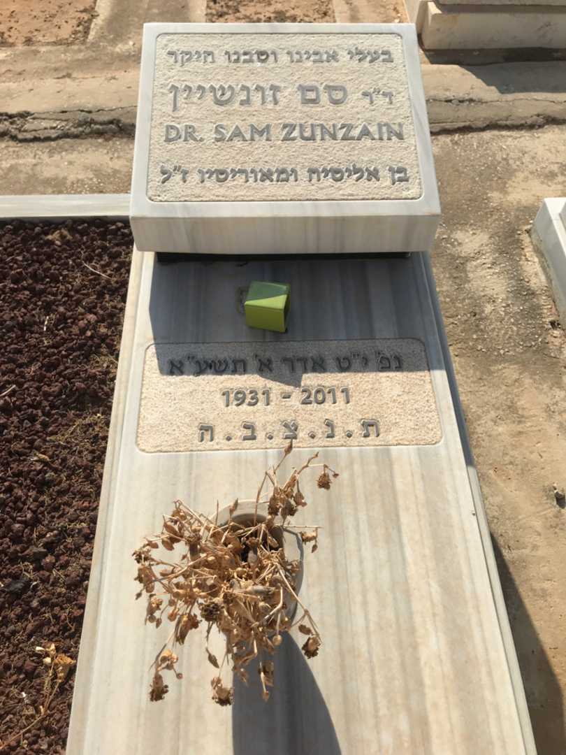 קברו של סם זונשיין. תמונה 2