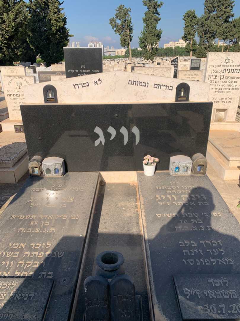 קברו של רבקה וויג. תמונה 1