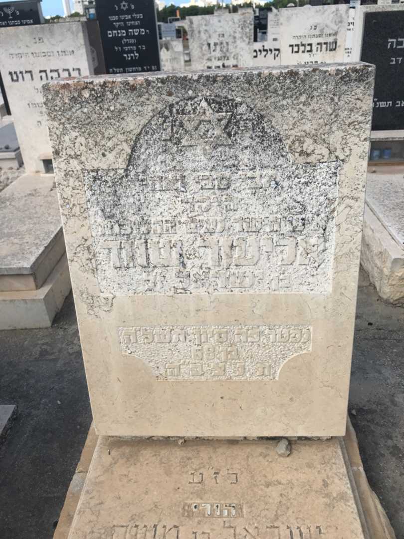 קברו של אליעזר שווד. תמונה 2