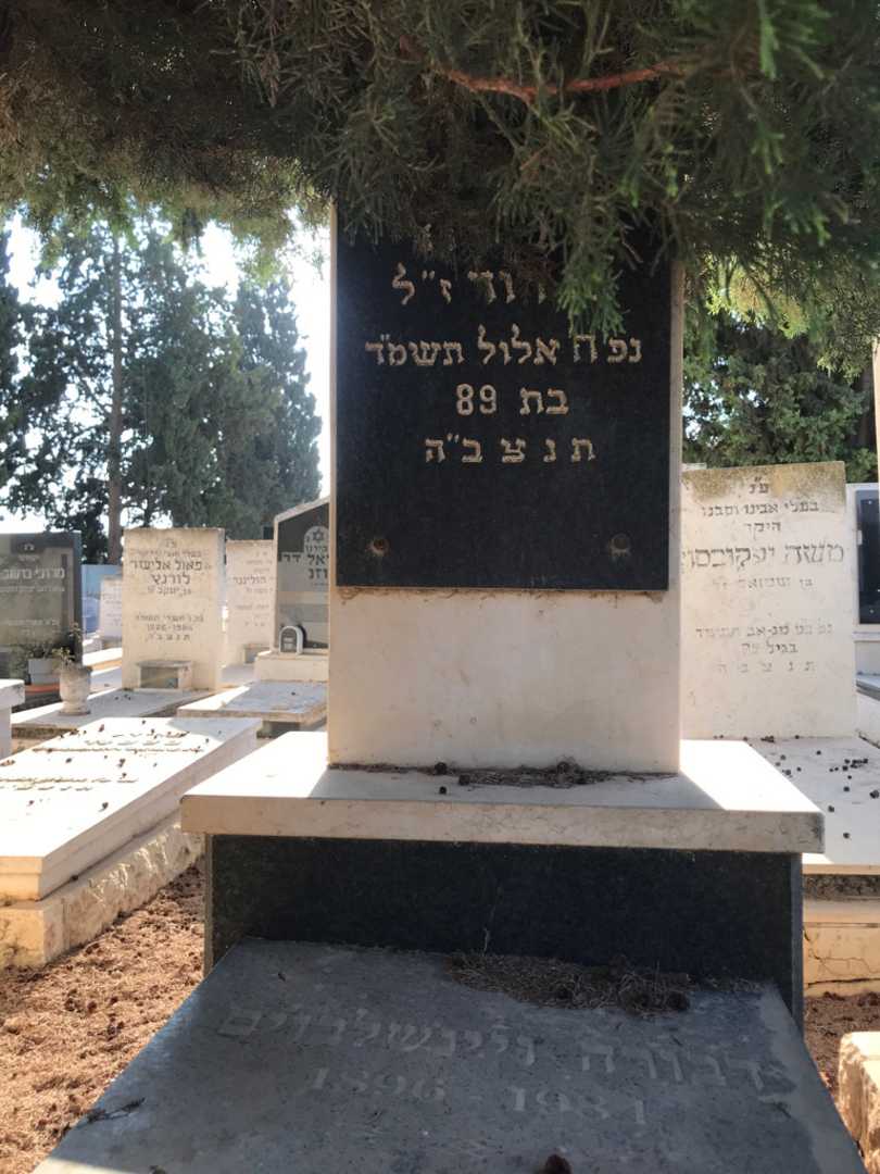 קברו של יוסף פק. תמונה 2