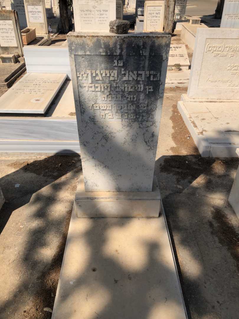 קברו של מיכאל פייגין