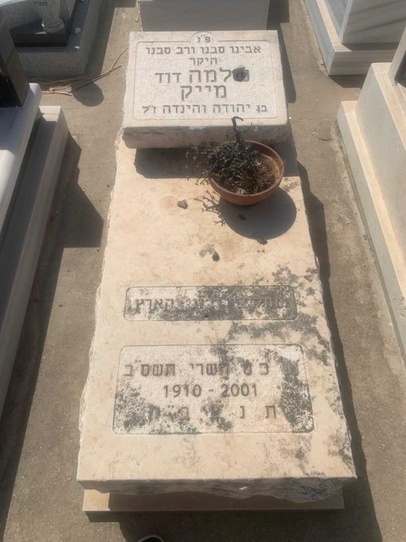 קברו של שלמה "דוד" מייק
