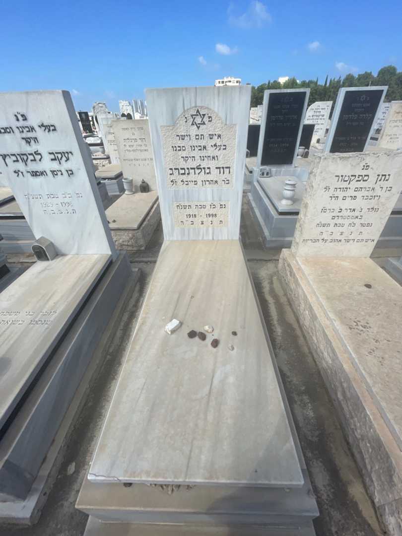 קברו של דוד גולדנברג