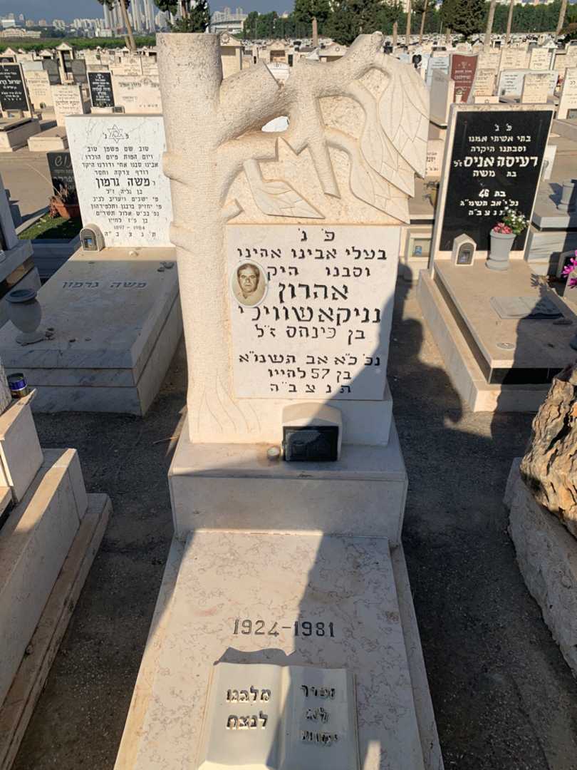 קברו של אהרון נניקאשווילי