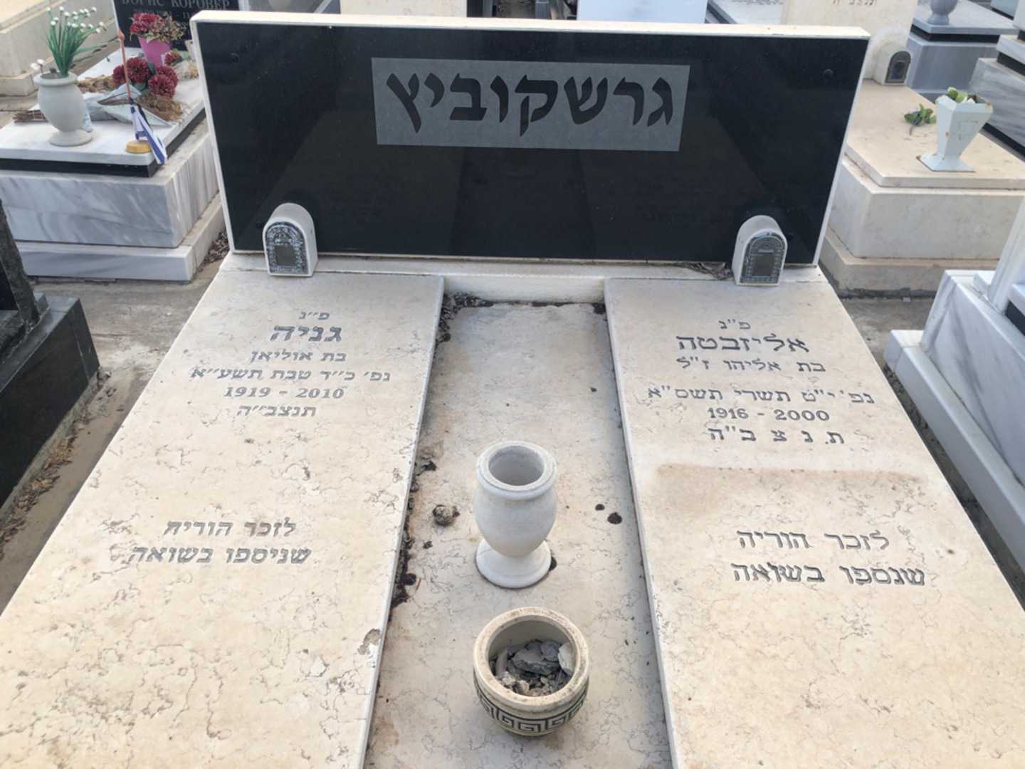 קברו של גניה גרשקוביץ. תמונה 2