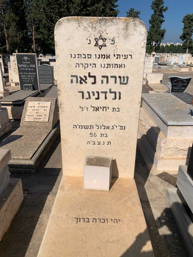 קברו של שרה לאה ולדניגר