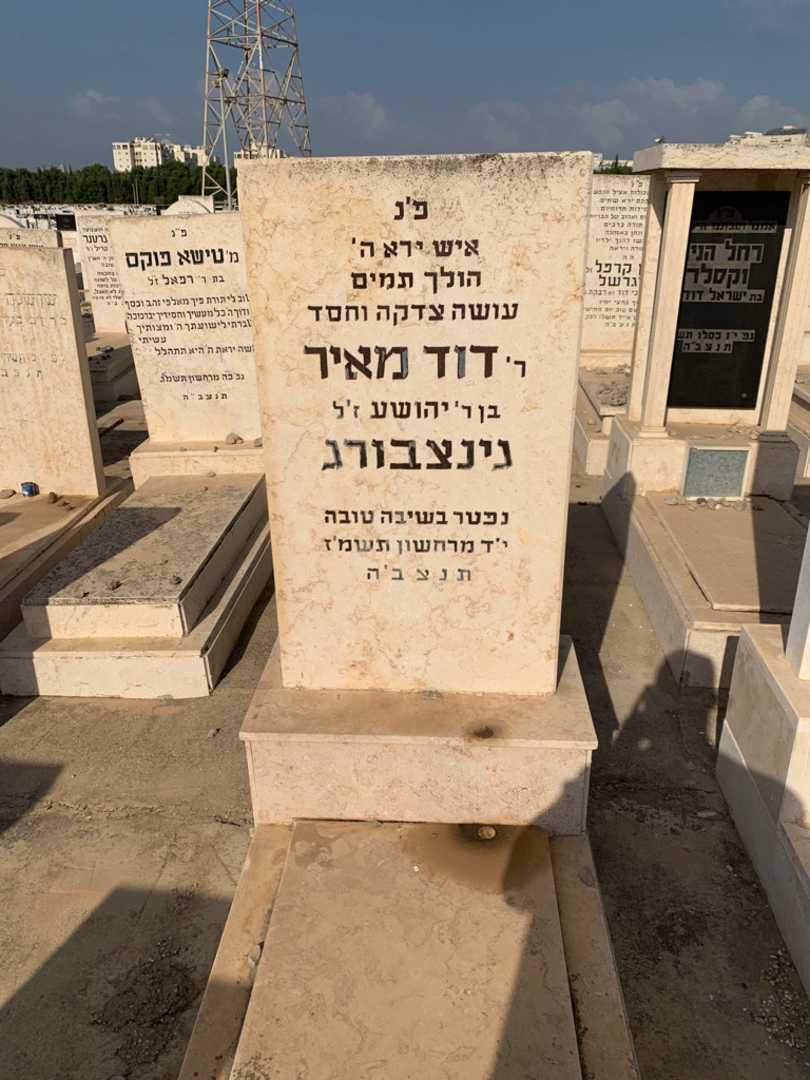 קברו של דוד מאיר גינצבורג