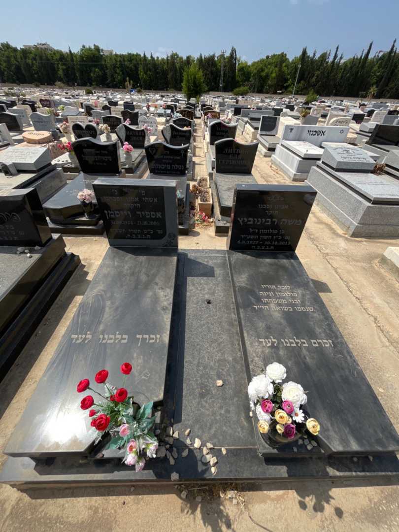 קברו של משה רבינוביץ. תמונה 1