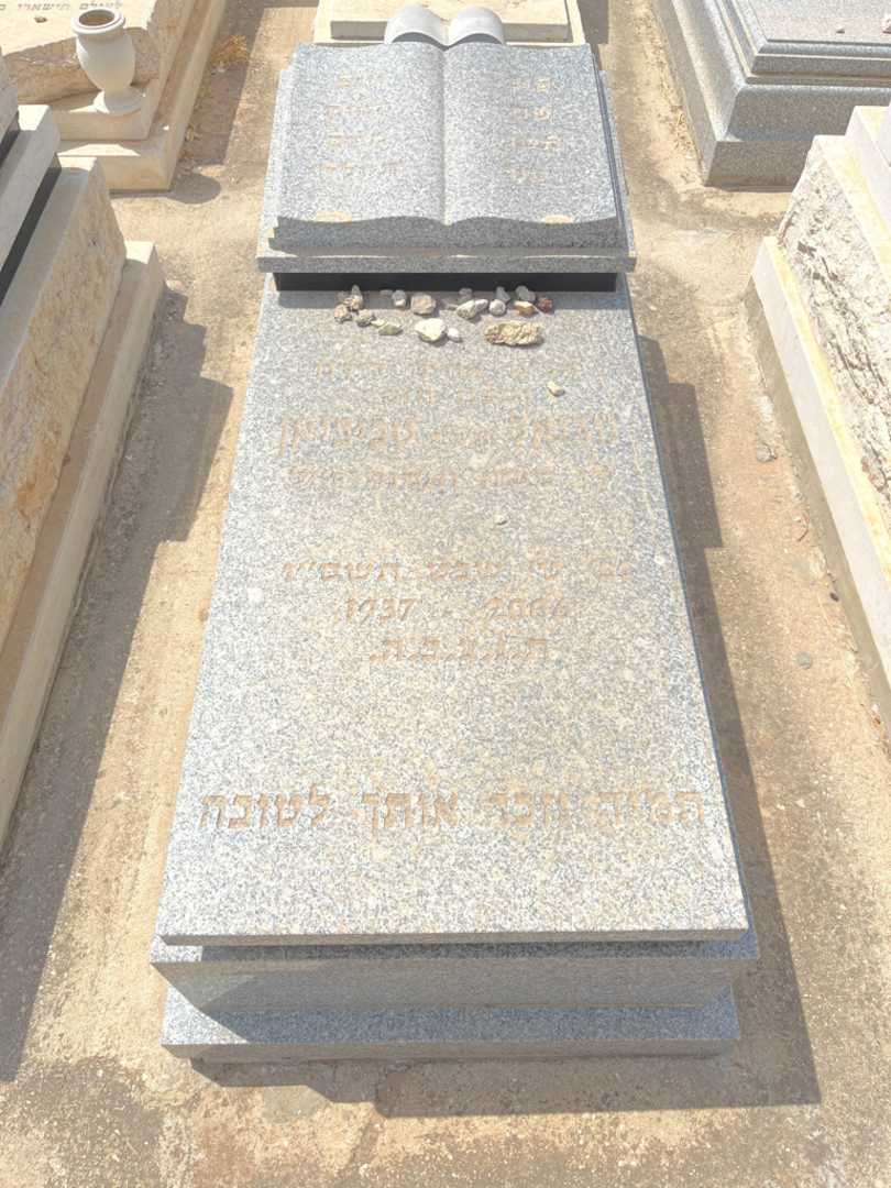 קברו של נוריאל טביביאן