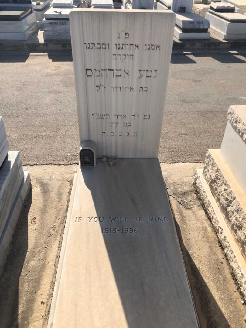 קברו של נטע אברהמס