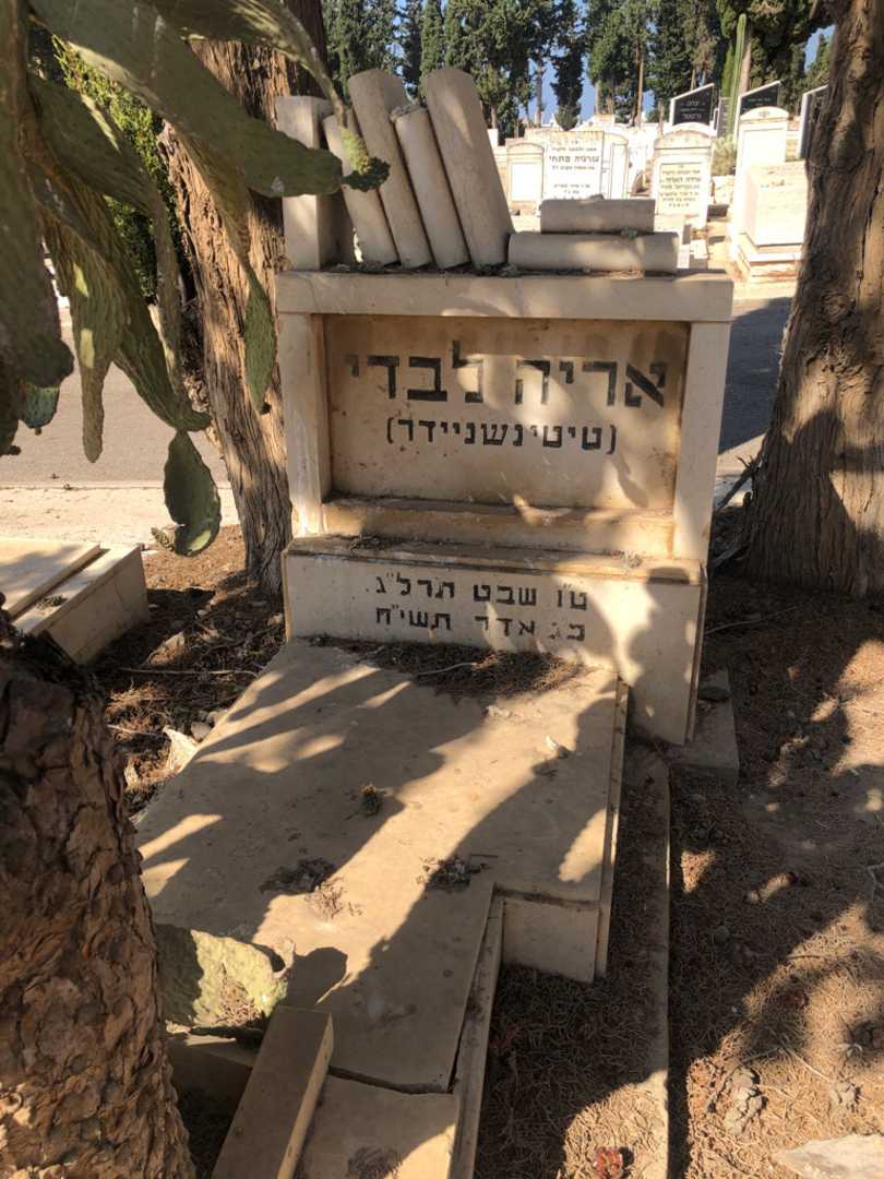 קברו של אריה "טיטינשניידר" לבדי