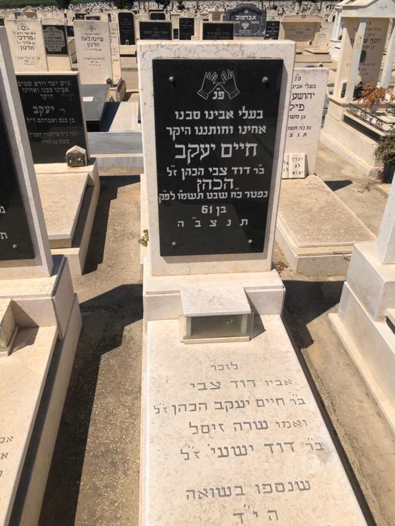 קברו של דוד צבי הכהן