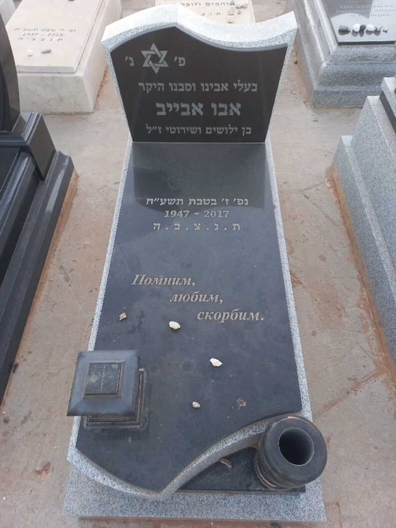 קברו של אבו אבייב