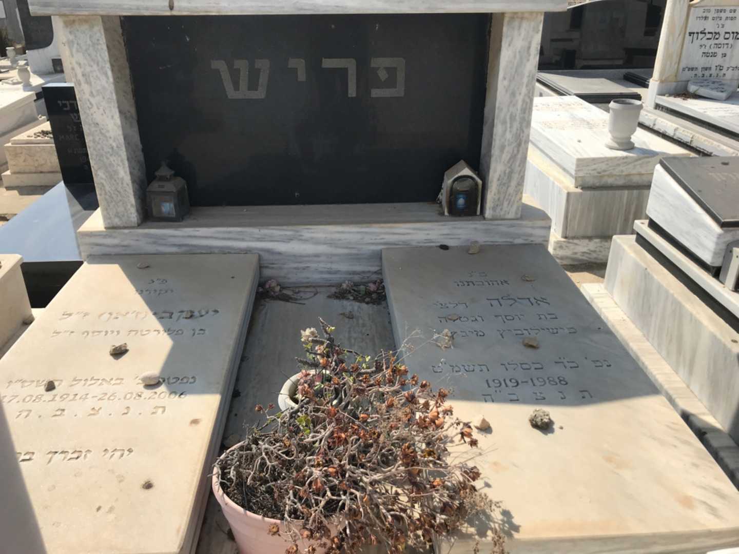 קברו של אדלה "דלצ'י" פריש. תמונה 1