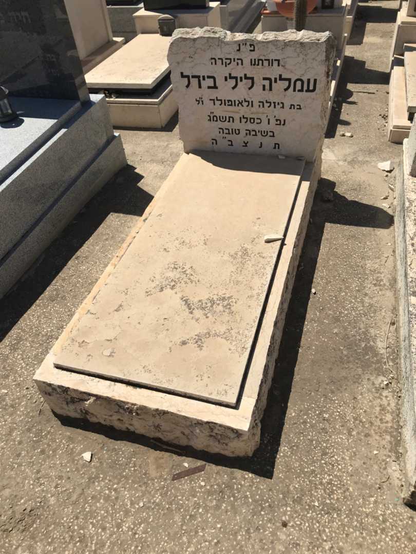 קברו של עמליה לילי בירל