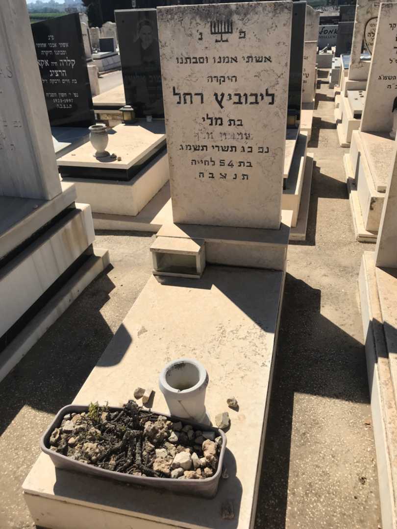 קברו של רחל ליבוביץ