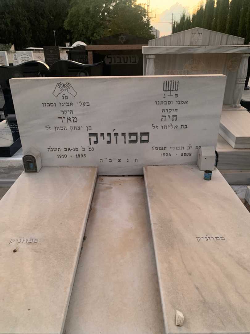 קברו של מאיר ספוז'ניק. תמונה 1