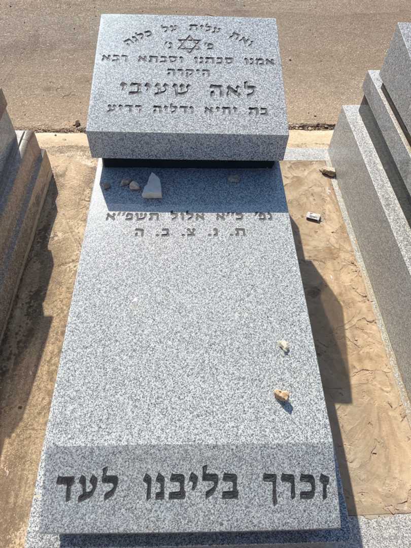 קברו של לאה שעיבי. תמונה 1