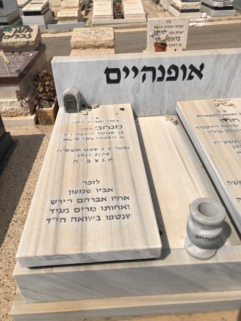 קברו של מנחם "הלוי" אופנהיים. תמונה 1