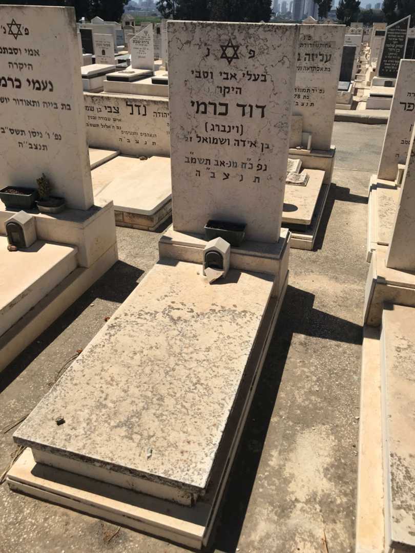 קברו של דוד "וינברג" כרמי