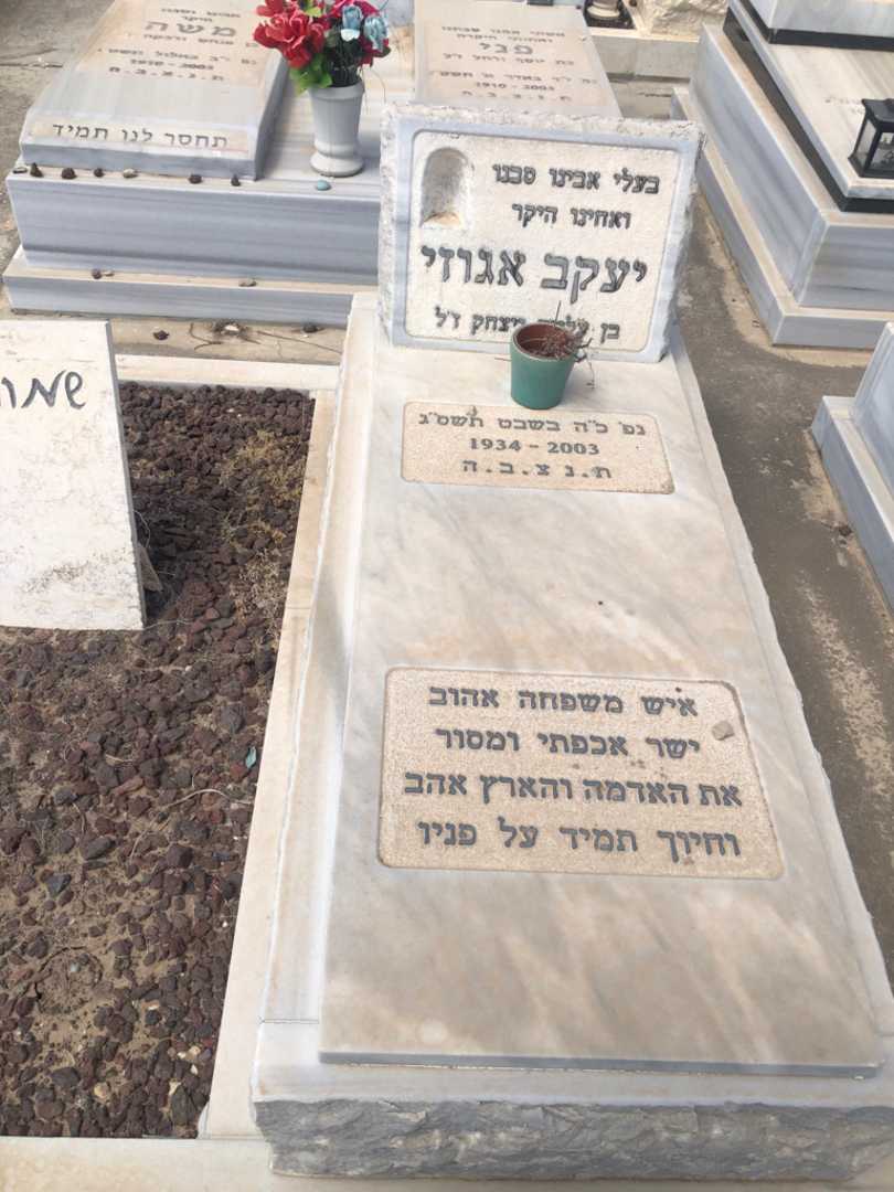 קברו של יעקב אגוזי. תמונה 1