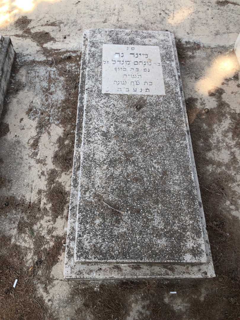 קברו של מינה נח