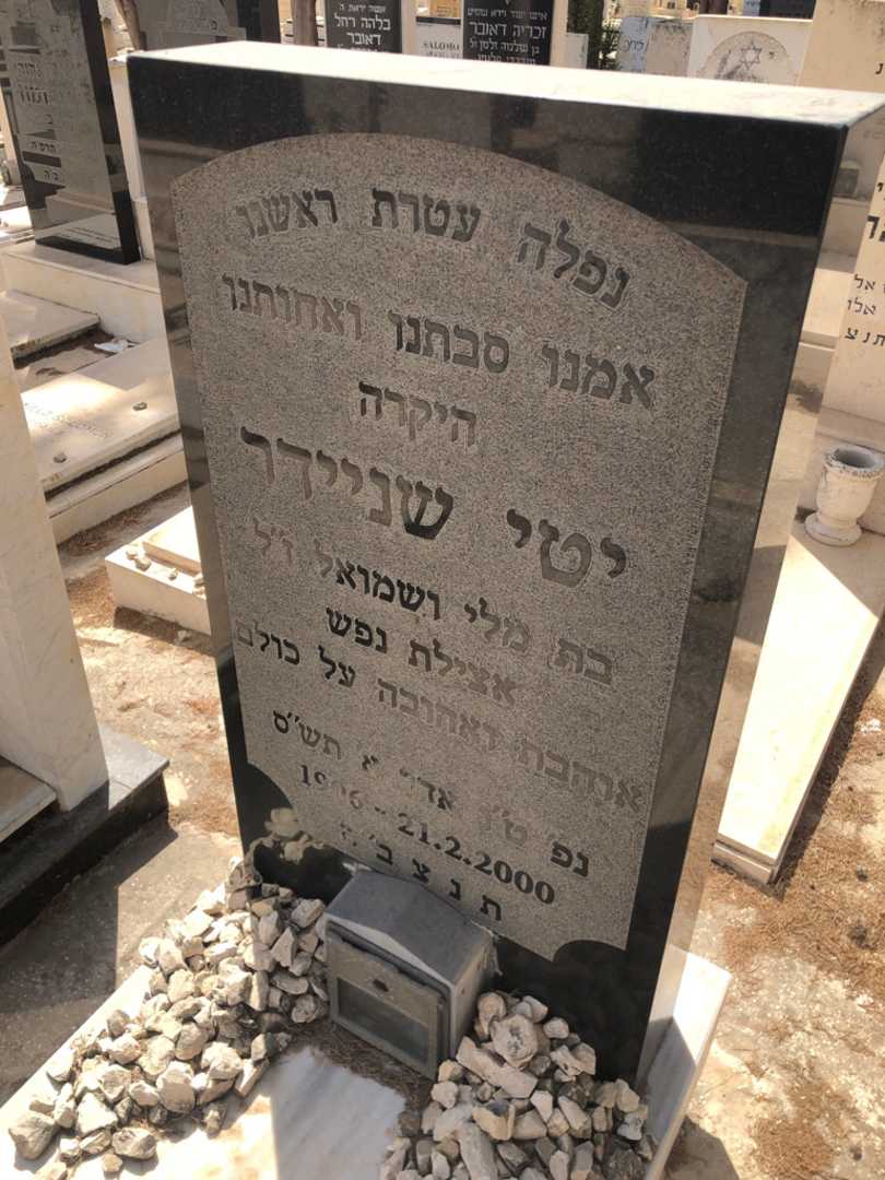 קברו של יטי שניידר. תמונה 2