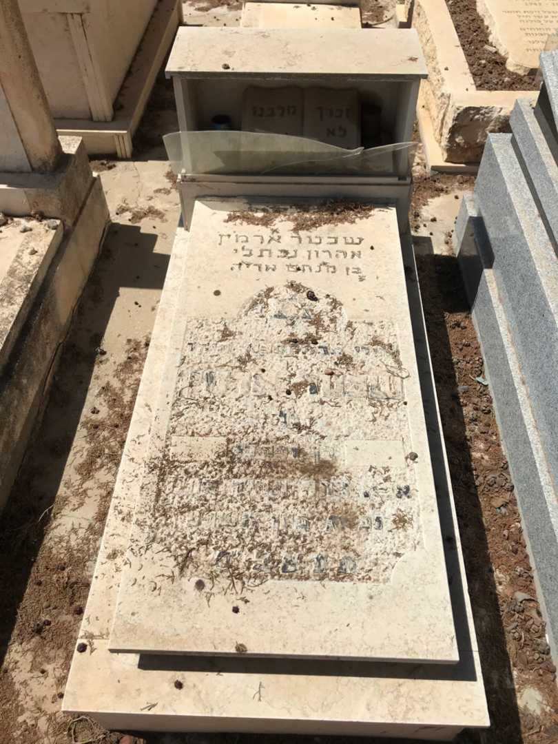 קברו של ארמין אהרון נפתלי שכטר. תמונה 1