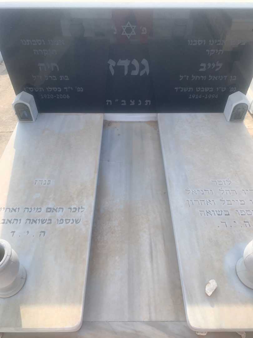 קברו של לייב גנדז. תמונה 3